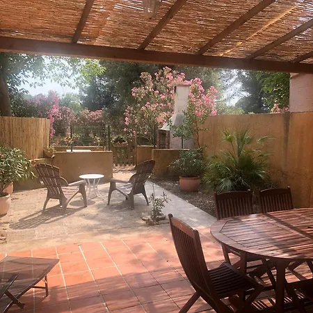 Domaine Des Oliviers - Les Borrels Ferienhaus