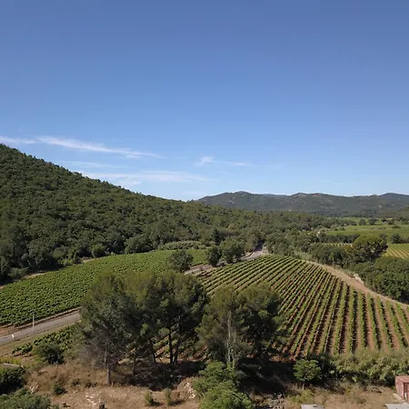 Ferienhaus Domaine Des Oliviers - Les Borrels Hyères