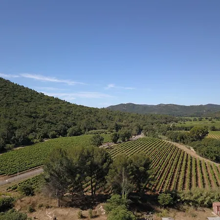 Domaine Des Oliviers - Les Borrels Holiday home *