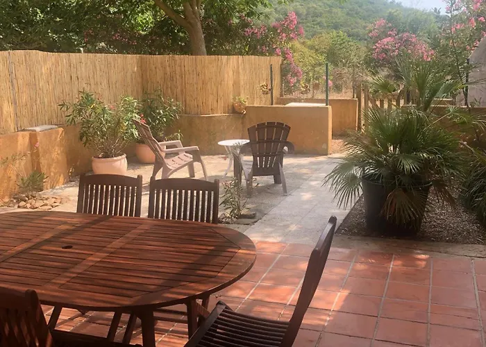 Domaine Des Oliviers - Les Borrels