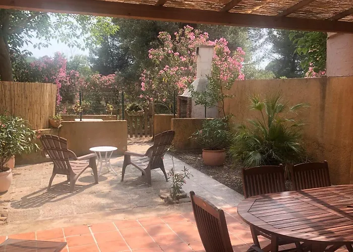 Domaine Des Oliviers - Les Borrels Hébergement de vacances