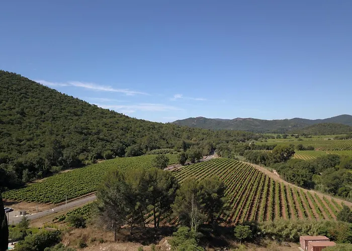 Hébergement de vacances Domaine Des Oliviers - Les Borrels Hyères