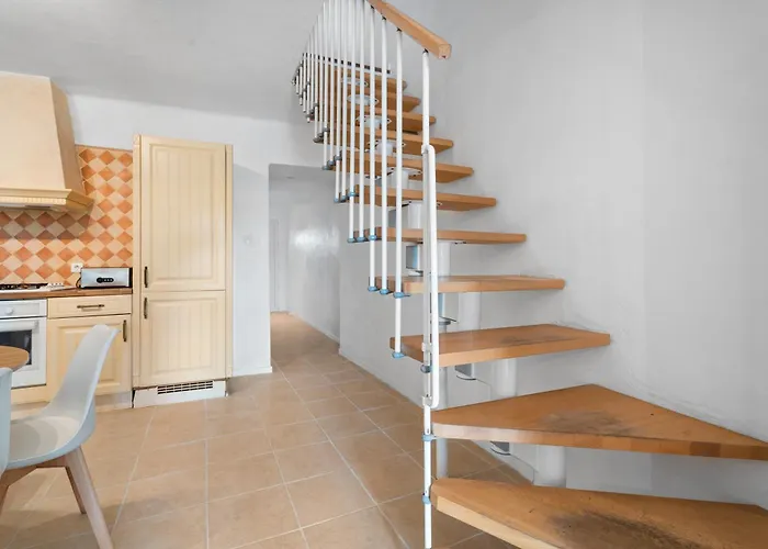 Domaine Des Oliviers - Les Borrels