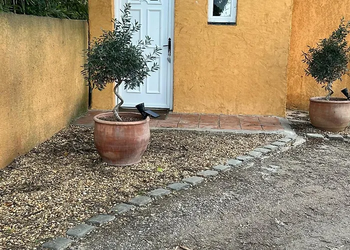 Domaine Des Oliviers - Les Borrels Hébergement de vacances Hyères